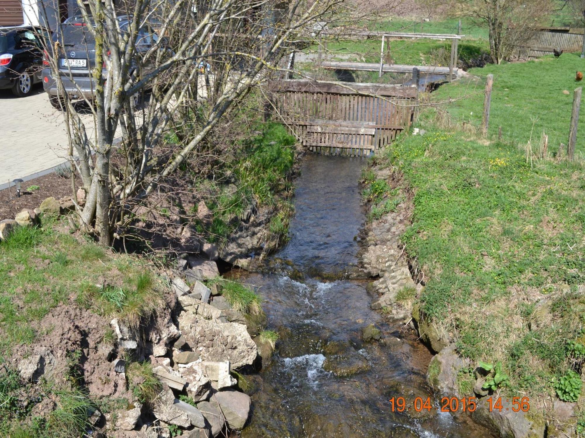 Quiet Apartment Along A Stream In Halenfeld Sellerich Dış mekan fotoğraf